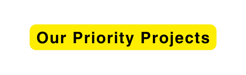 Our Priority Projects